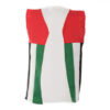 uae national day unisex vest for
