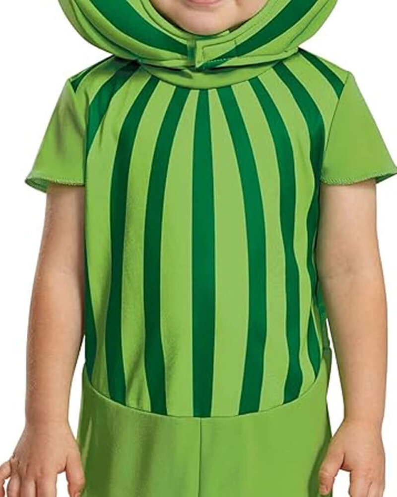 Melon Costume