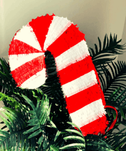 LARGE CHRISTMAS CANDY CANE PINATA Copy of Book Week 500 x 500 px 8 30144.1663141489.386.513