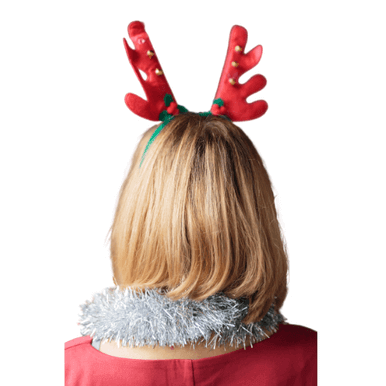 Alternative view of Christmas  Reindeer Antlers