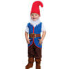 Dwarf Boy's Bearded Gnome Toddler Costume
