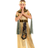 Princess of Egypt Dress-cleopatra costume ancient egyptians princess of egypt dress-cleopatra costume ancient