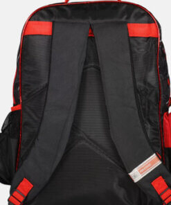 Justice League Kids Boy Printed Backpack