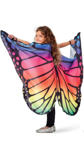 Satin Butterfly Wings