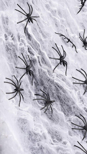 Spiderweb White with Black Spiders Halloween Decorations