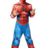 spidermancostume e0690359 ae74 4390 893a 86959bbe492a 27399.1647931101.386.513