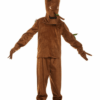 The Twig Book Week and World Book Day Costumes the twig book week and world