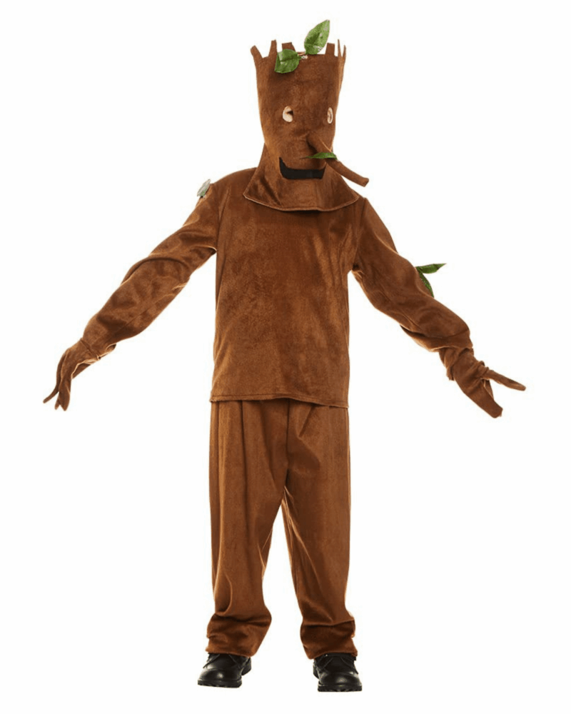 The Twig Book Week and World Book Day Costumes