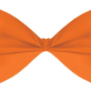 Orange Bow tie